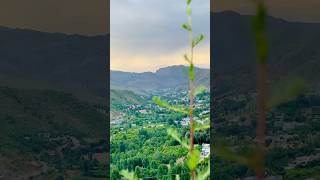 Nature Beauty swat ytshorts swatbeauty greenswat greenry allah shorts foryou share [upl. by Regdor]