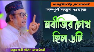 নবীজির চোখ ৬টা ছিল  আল্লামা শফিউল আলম নেজামী  shafiul alam nizami [upl. by Nhojleahcim]