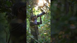 Bird Photography with Nikon Z8 Nikon 180600mm shortvideo shorts nikonwildlife nature [upl. by Imoyn818]