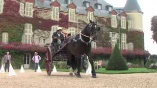 Concours international dattelage de tradition [upl. by Dasie]