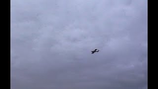 Eflite Cherokee 13m  cloudy evening flight [upl. by Jecho]