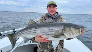 Jigging For Trophy Rockfish On The Chesapeake Bay I Caught My PB [upl. by Yrahcaz582]