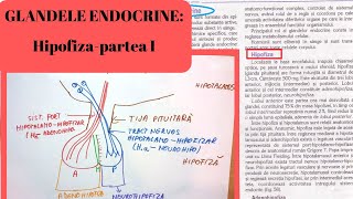 ADMITERE MEDICINA GLANDELE ENDOCRINE 1 Hipofiza partea I [upl. by Arit294]