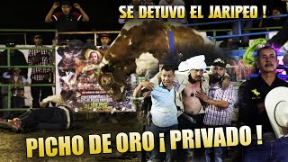 ¡SE DETIENE EL JARIPEO A MEDIO EVENTO PICHO DE ORO SALE PRIVADO POR UN TORO DE LOS REVOLUCIONARIOS🔥 [upl. by Efram]