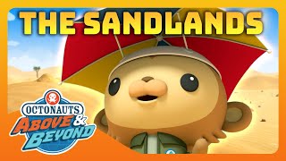 Octonauts Above amp Beyond  🗺️ Exploring the Sand Lands 🏜️  Compilation  Octonauts​ [upl. by Mowbray129]