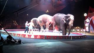 Ringling Bros and Barnum amp Bailey elephants [upl. by Ceporah]