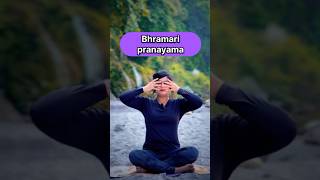 Breathing to relax the nervous system  Bumble bee breath yoga pranayama [upl. by Laeahcim]