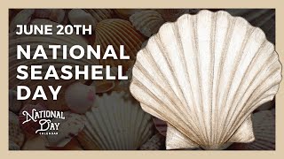 National Seashell Day  June 20th  National Day Calendar [upl. by Chu]