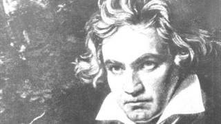 Ludwig van Beethoven  5 Sinfonie  Satz 1 [upl. by Allrud]