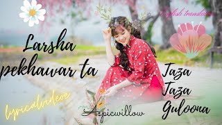 Larsha Pekhawar ta taza taza guloona pashto song wtih english translation [upl. by Nannie]