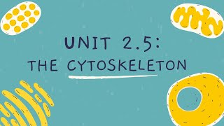 Unit 25 The Cytoskeleton [upl. by Thorny]