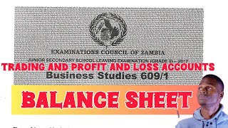 2017 Exam  Trading and Profit and Loss Accounts  Balance Sheet as at  Grade 9 Business Studies [upl. by Nyliak]