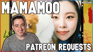 MAMAMOO  quotwoo hooquot  Wheein quotOHOOquot  quotButterflyquot  quotIce Cream Lovequot  Funny Compilation  REACTION [upl. by Sadowski]