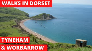 WALKS IN DORSET at TYNEHAM THE quotGHOSTquot VILLAGE amp WORBARROW BAY THE JURASSIC COAST 4K [upl. by Berget444]