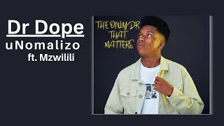 Dr Dope  uNomalizo ft Mzwilili  Official Audio [upl. by Jeannie185]