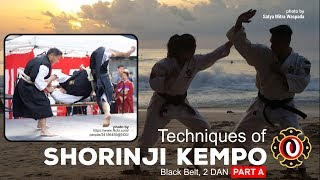 Techniques of Shorinji Kempo Black Belt 2 DAN part A [upl. by Kelcie506]