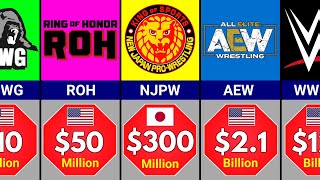 Richest Wrestling Companies in 2024 [upl. by Ahsema197]