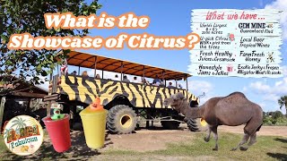 Showcase of Citrus Adventure Monster Trucks Orange Groves amp Meet Joe the Camel [upl. by Aliemaj]