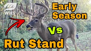 Whitetail Rut Stand Vs Early Season Stand [upl. by Ellicec893]