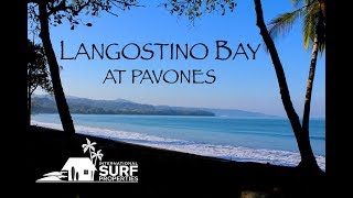 Langostino Bay at Pavones [upl. by Kcirdled820]