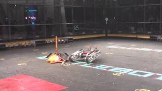 Battlebots Grudge Match Complete Control VS Razorback 2015 Un aired Fight [upl. by Ruhtua21]