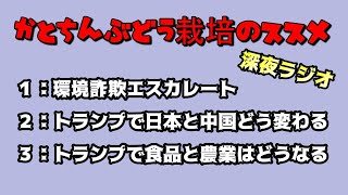 かとちんぶどう栽培のススメ【番外編深夜ラジオ】トランプ政権で日本の農業と食品への影響とＳＮＳ規制など政治的なヤバイお話 [upl. by Ettigirb]