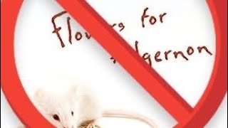 Flowers for Algernon Sucks [upl. by Peltz365]