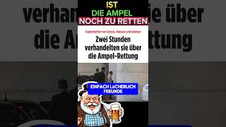 💥EIL💥 ALLE nicht mehr zu RETTEN afd ampel politik scholz habeck lindner weidel kanzler spd [upl. by Lenwood868]