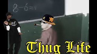 OS REIS DO THUG LIFE  THE KING OF THUG LIFE 31 [upl. by Scopp]