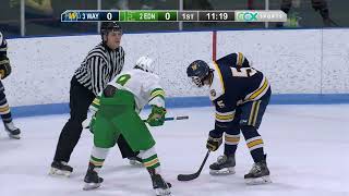 Boys High School Hockey Section Semifinal Wayzata vs Edina [upl. by Terza]