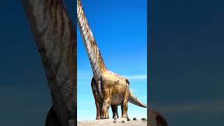 ❤ El Dino más grande del mundo Trelew Chubut ✨ argentina chubut trelew dinosaurio turismo [upl. by Zaragoza]