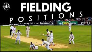 Learn ALL the FIELDING Positions in Cricket under 8 Minutes  English [upl. by Fosdick]