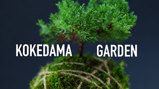 Make A Kokedama Hanging Garden [upl. by Yeo]