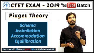 Piaget Theory Schema Assimilation AccommodationEquilibration  CDP CTET 2019 [upl. by Vasos]