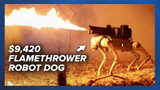 Thermonator the 9420 flamethrower robot dog now available for purchase [upl. by Carolynne]