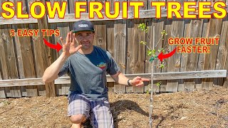 5 Reasons Your Fruit Trees ARENT GROWING And How To FIX It [upl. by Slavin]