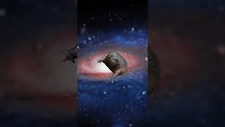 Frog Dies in black hole incident shorts shortsvideo frog space [upl. by Laresa787]