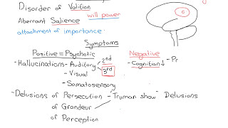 Schizophrenia Part 2 [upl. by Cottrell262]