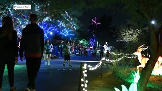 ZooLights Here’s what’s new at this year’s Phoenix Zoo holiday tradition [upl. by Ellerahc369]