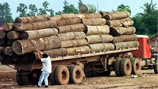 Amazing Dangerous Biggest Logging Wood Truck Operator Skill  Fastest Climbing Wood Truck Driving 1 [upl. by Surat479]