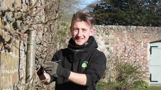 Horticulture Apprenticeship VOD at Duchy College [upl. by Buckels263]