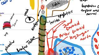 BIOLOGI BAB 7BAHAGIAN 6 SISTEM RESPIRASI MANUSIASPM TINGKATAN 4 [upl. by Matless895]