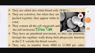 L1 histology Histology of blood cells  HPS 43 [upl. by Annairt]