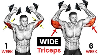 Full Triceps Workout  Lateral Head  Long Head  Medial Head 7 Best Exercises [upl. by Olzsal597]