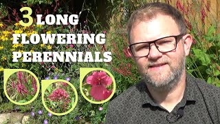 Long Flowering Perennials that Flower for Months  Plants that Keep on Flowering UK  Plant Tips [upl. by Uamak]