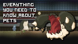 Starbound Tips  Everything you need to know about Pets [upl. by Annahahs]