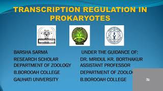 Transcription Regulation in Prokaryotes [upl. by Janice]