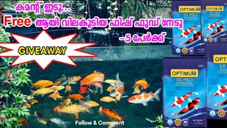 കമന്റ് ഇടൂ വിലകൂടിയ ഫിഷ് ഫുഡ് ഫ്രീയായി നേടൂ Super koi pond giveaway optimum food free koifish [upl. by Refotsirhc380]