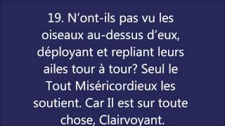 Coran  Sourate 67 Al Mulk La Royauté المُلک [upl. by Thomasa790]