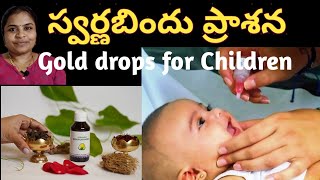 Swarna Bindu PrashanaGold dropsఆయుర్వేద టీకాImprove your childrens HealthampMemory PowerDr Soumya [upl. by Eniamreg311]